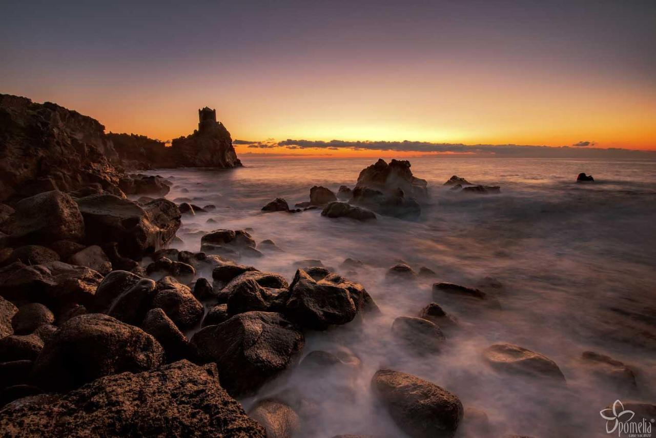 - Il Cavalluccio Marino Fronte Mare