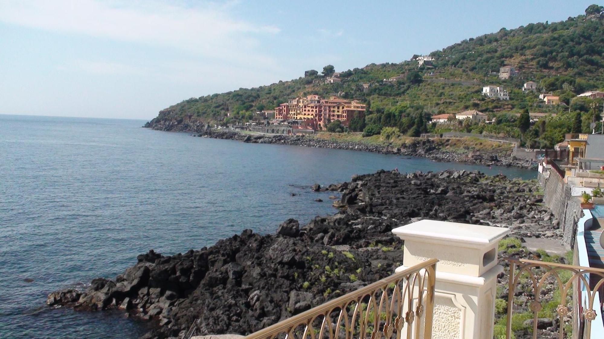 - Il Cavalluccio Marino Fronte Mare